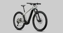 Radon Jealous Hybrid 10.0 625 -Vélo Électrique Soldes Magasin 2022 JEALOUS HYBRID CX625 10 0 detail 09