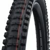 Schwalbe Big Betty Evo Super Ground 24x2,40" Addix Soft E-50 Pneus Pliants 1 Schwalbe Big Betty Evo Super Ground 24x2,40" Addix Soft E-50 Pneus Pliants -Vélo Électrique Soldes Magasin Schwalbe Big Betty Evo Super Ground 11654323 a